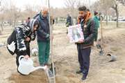 گزارش تصویری از بخش کاشت نهال دومین آیین هفته درختکاری، کاشت نهال به یاد اهداکنندگان زندگی